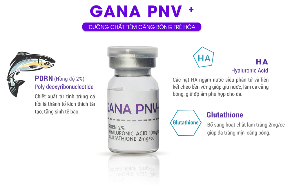PNV+ TIEM CANG BONG TRE HOA DA
